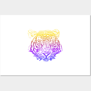 sunset tiger Posters and Art